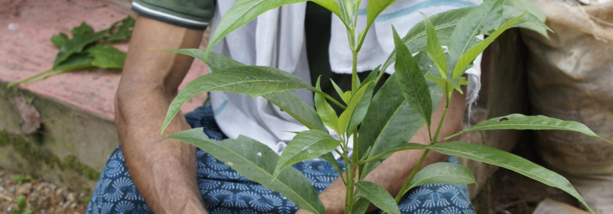 Gurukal Babu stellt sich vor