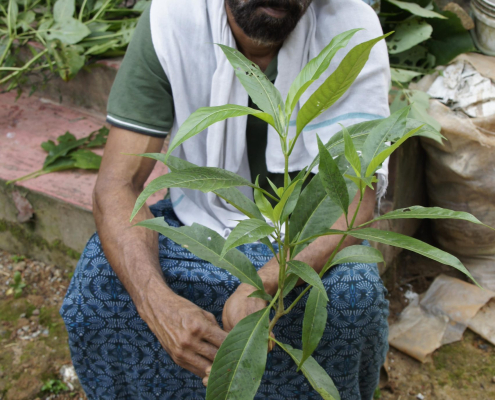 Gurukal Babu stellt sich vor