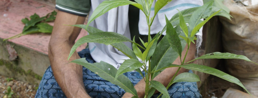 Gurukal Babu stellt sich vor